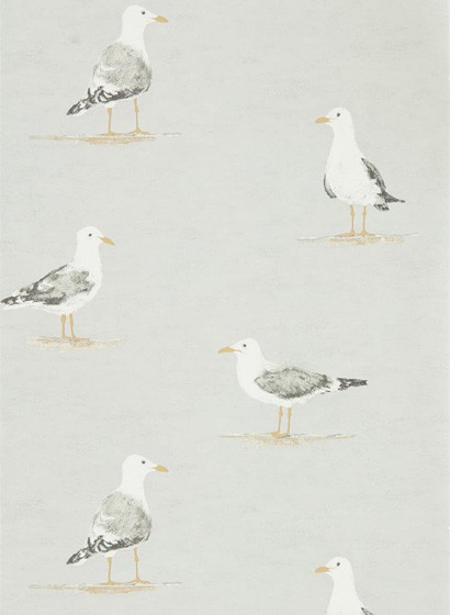 Möwen Tapete Shore Birds von Sanderson - Gull-4038.4 Möwen Tapete Shore Birds von Sanderson - Gull-4038.4