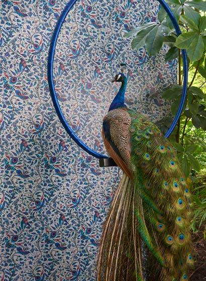 Clarke & Clarke Wallpaper Rousseau-4062 Clarke & Clarke Wallpaper Rousseau-4062