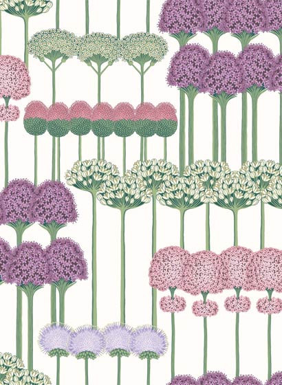 Stauden Tapete Allium von Cole and Son - Purple & White-4067.3 Stauden Tapete Allium von Cole and Son - Purple & White-4067.3