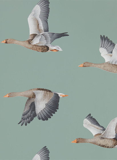 Sanderson Wallpaper Elysian Geese Blue Clay-4081.3 Sanderson Wallpaper Elysian Geese Blue Clay-4081.3