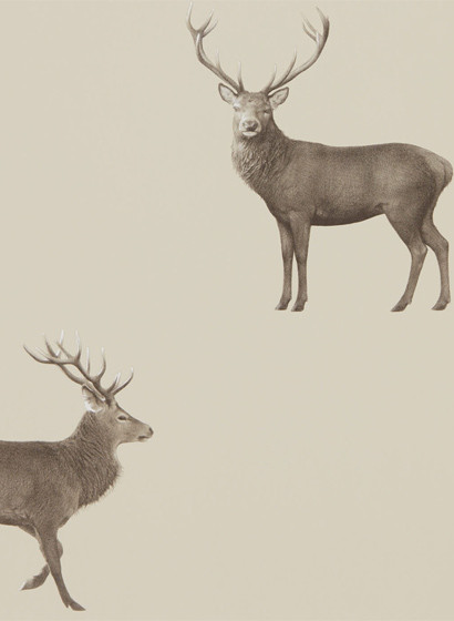 Hirsch Tapete Evesham Deer von Sanderson - Birch-4086.2 Hirsch Tapete Evesham Deer von Sanderson - Birch-4086.2