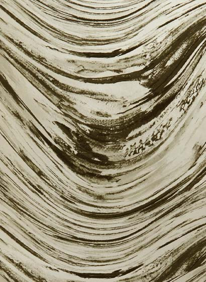 Wellen Tapete Agata von Clarke & Clarke - Charcal/ Gold-4096.1 Wellen Tapete Agata von Clarke & Clarke - Charcal/ Gold-4096.1