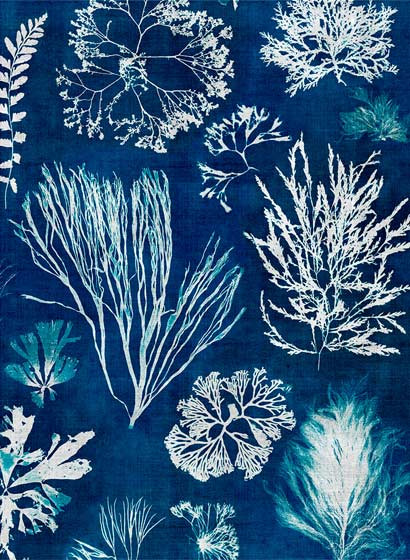 Mindthegap Papier peint Algae-4107 Mindthegap Papier peint Algae-4107