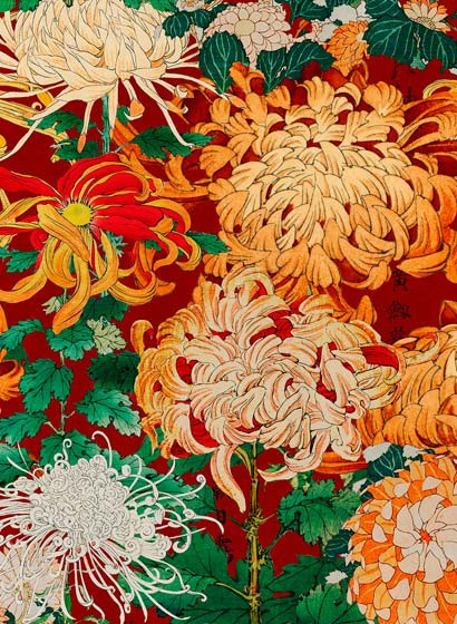 Mindthegap Papier peint Chrysanthemums-4135 Mindthegap Papier peint Chrysanthemums-4135