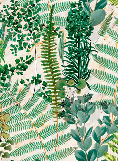 Mindthegap Papier peint Green Sanctuary-4137 Mindthegap Papier peint Green Sanctuary-4137
