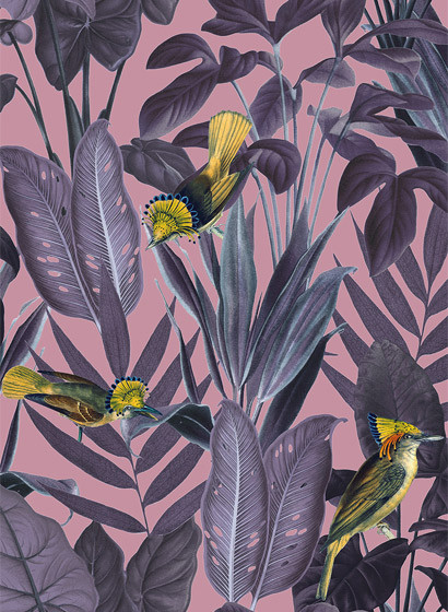 Rebel Walls Mural Yellow Bird Dusk-4227.2