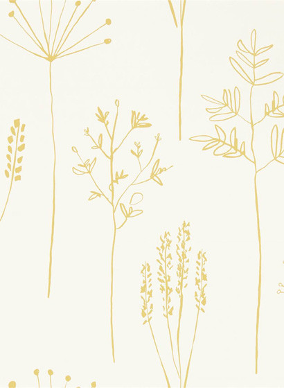 Gräser Tapete Stipa von Scion - Honey-4278.3 Gräser Tapete Stipa von Scion - Honey-4278.3