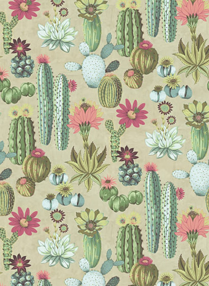 Kakteen Wandbild Cacti von Eijffinger-4341 Kakteen Wandbild Cacti von Eijffinger-4341