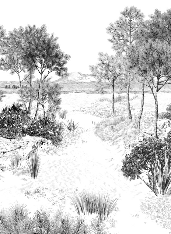 Wandbild Dune Gris von Isidore Leroy - Bahnen 1/2/3-4670.1 Wandbild Dune Gris von Isidore Leroy - Bahnen 1/2/3-4670.1