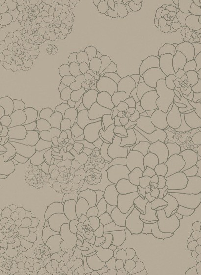 Florale Tapete Aeonium von Paint & Paper Library-4701 Florale Tapete Aeonium von Paint & Paper Library-4701