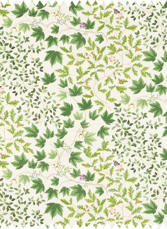 Sanderson Tissu Sycamore and Oak-50007 Sanderson Tissu Sycamore and Oak-50007