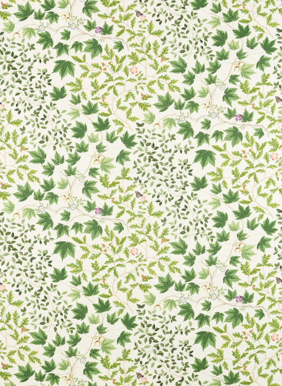 Sanderson Tissu Sycamore and Oak-50007 Sanderson Tissu Sycamore and Oak-50007