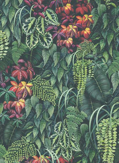 Osborne & Little Wallpaper Green Wall-5195 Osborne & Little Wallpaper Green Wall-5195