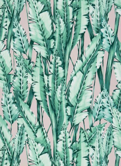 Osborne & Little Wallpaper Tiger Leaf-5198 Osborne & Little Wallpaper Tiger Leaf-5198