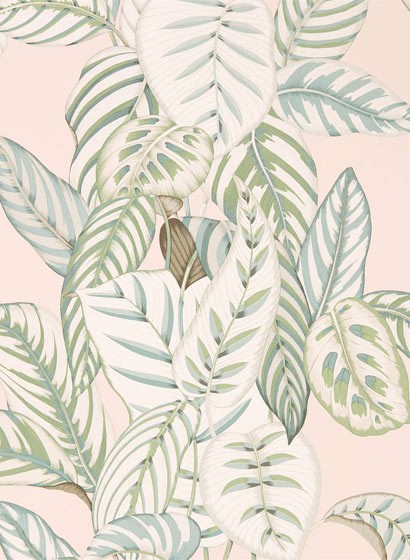 Blätter Tapete Calathea von Sanderson-5171 Blätter Tapete Calathea von Sanderson-5171