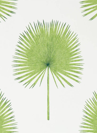 Sanderson Carta da parati Fan Palm - Botanical Green-5172.2 Sanderson Carta da parati Fan Palm - Botanical Green-5172.2