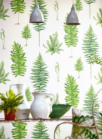 Sanderson Papier peint Fernery-5173 Sanderson Papier peint Fernery-5173