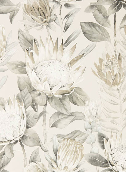 Blumen Tapete King Protea von Sanderson - Linen/ Mica-5175.2 Blumen Tapete King Protea von Sanderson - Linen/ Mica-5175.2