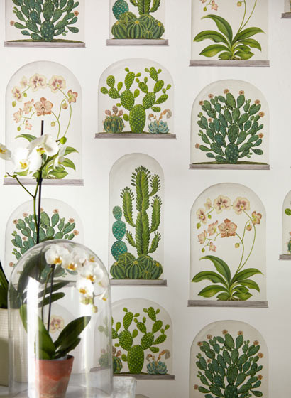 Sanderson Carta da parati Terrariums-5178 Sanderson Carta da parati Terrariums-5178