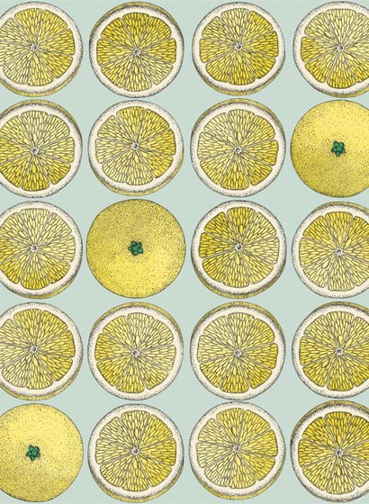 Fornasetti Früchte-Tapete Arance von Cole and Son - Lemon-5204.2 Fornasetti Früchte-Tapete Arance von Cole and Son - Lemon-5204.2