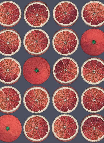 Fornasetti Früchte-Tapete Arance von Cole and Son - Blood O.-5204.3 Fornasetti Früchte-Tapete Arance von Cole and Son - Blood O.-5204.3