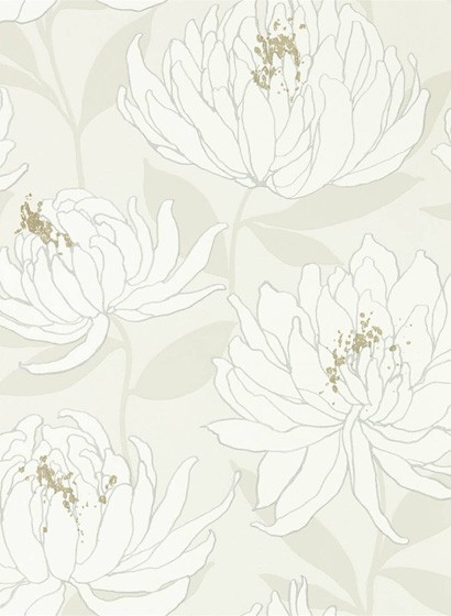 Chrysanthemen Tapete Sebal von Harlequin-5243 Chrysanthemen Tapete Sebal von Harlequin-5243