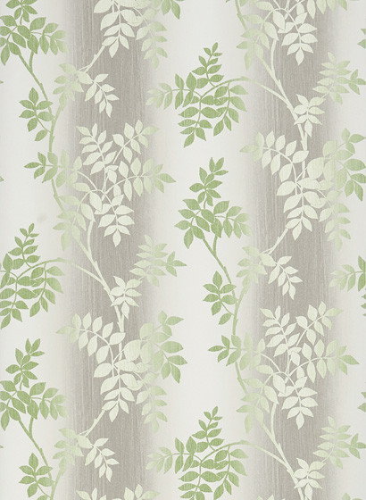 Nina Campbell Papier peint Posingford - Grey/ Green-5397.5 Nina Campbell Papier peint Posingford - Grey/ Green-5397.5