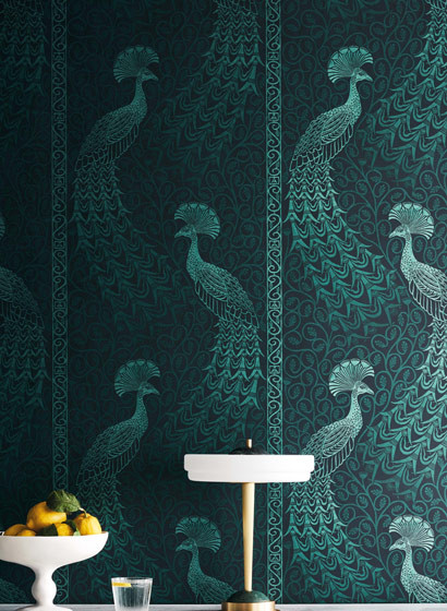 Pfauen Tapete Pavo Parade von Cole & Son-5414 Pfauen Tapete Pavo Parade von Cole & Son-5414