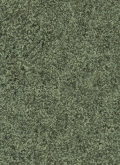 Zoffany Carta da parati Shagreen - Olivine-5419.3