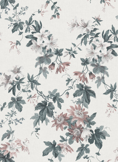 Blumen Wandbild Sandra von Sandberg - Powder White-5470.1 Blumen Wandbild Sandra von Sandberg - Powder White-5470.1