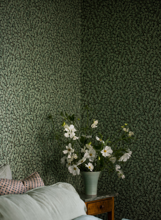 Boras Tapete Hazel-5496 Boras Tapete Hazel-5496