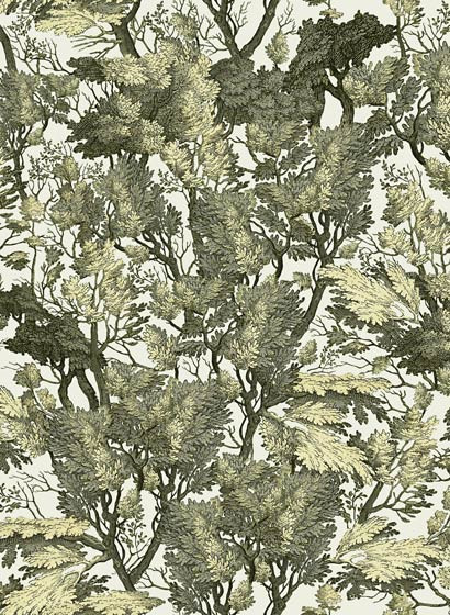 Baum Tapete Tree Foliage von MINDTHEGAP - WP20481-5548.1 Baum Tapete Tree Foliage von MINDTHEGAP - WP20481-5548.1