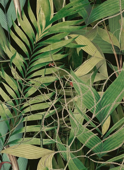 Mindthegap Papier peint Exotic Garden-5572 Mindthegap Papier peint Exotic Garden-5572