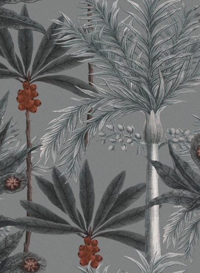 Mindthegap Wallpaper Madagascar - WP20519-5576.1