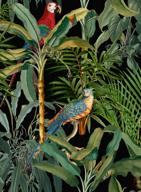 Mindthegap Papier peint Parrots of Brasil-5577 Mindthegap Papier peint Parrots of Brasil-5577