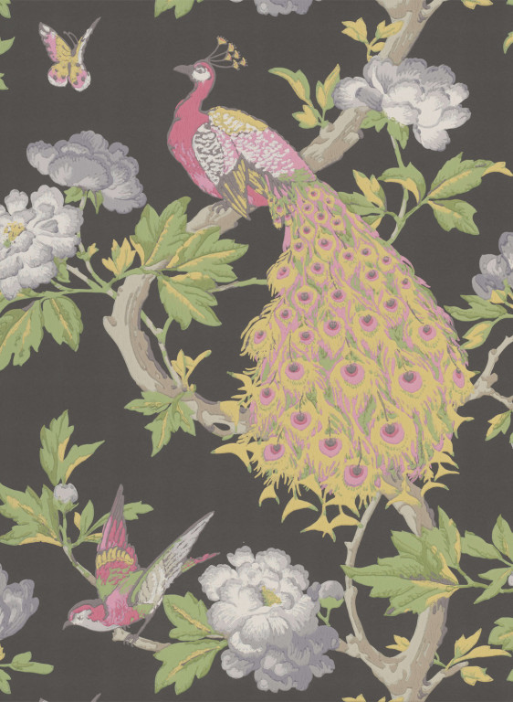 Little Greene Wallpaper Pavona Maeve-5692.8