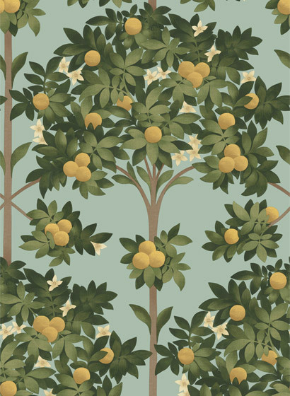 Cole & Son Papier peint Orange Blossom - Lemon/ Olive Green on Duck Egg-5699.2 Cole & Son Papier peint Orange Blossom - Lemon/ Olive Green on Duck Egg-5699.2