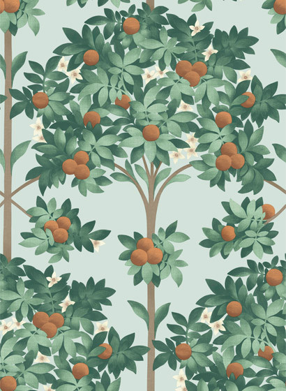 Florale Tapete Orange Blossom von Cole & Son-5699 Florale Tapete Orange Blossom von Cole & Son-5699