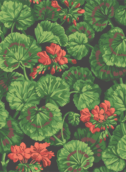Blumen Tapete Geranium von Cole & Son-5701 Blumen Tapete Geranium von Cole & Son-5701