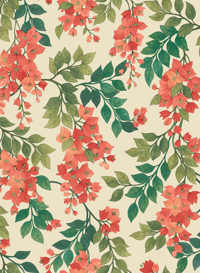 Cole & Son Papier peint Bougainvillea - Rouge on Cream-5705.1