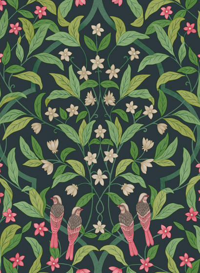 Cole & Son Wallpaper Jasmine & Serin Simphony-5709 Cole & Son Wallpaper Jasmine & Serin Simphony-5709