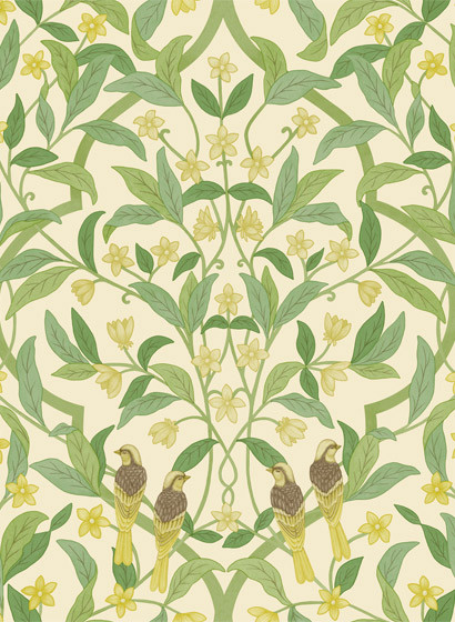 Cole & Son Papier peint Jasmine & Serin Simphony - Chartreuse on White-5709.4 Cole & Son Papier peint Jasmine & Serin Simphony - Chartreuse on White-5709.4