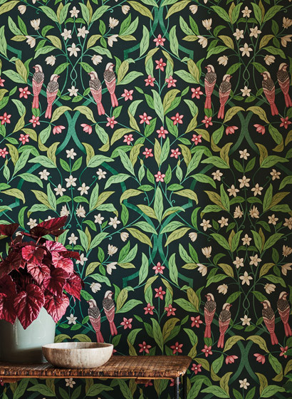 Cole & Son Wallpaper Jasmine & Serin Simphony-5709 Cole & Son Wallpaper Jasmine & Serin Simphony-5709