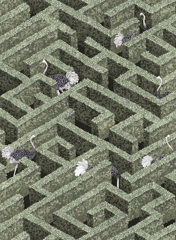 Josephine Munsey Wallpaper Labyrinth with Ostrich-6523 Josephine Munsey Wallpaper Labyrinth with Ostrich-6523