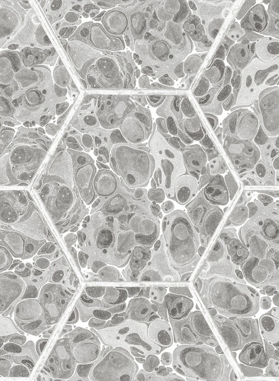 Rebel Walls Papier peint Marbled Hexagon Tiles-6659 Rebel Walls Papier peint Marbled Hexagon Tiles-6659