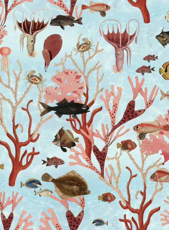 Rebel Walls Papier peint Aquarium-6686 Rebel Walls Papier peint Aquarium-6686