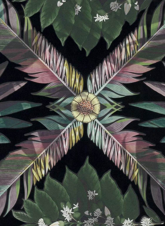 Christian Lacroix Wallpaper Feather Park-6735 Christian Lacroix Wallpaper Feather Park-6735