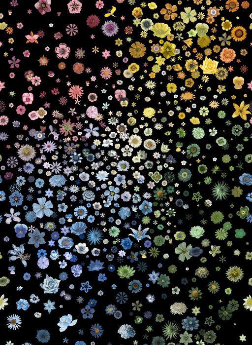 Christian Lacroix Wallpaper Jardin des Hesperides-6739 Christian Lacroix Wallpaper Jardin des Hesperides-6739