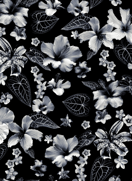 Jean Paul Gaultier Papier peint Cariacou-6937 Jean Paul Gaultier Papier peint Cariacou-6937