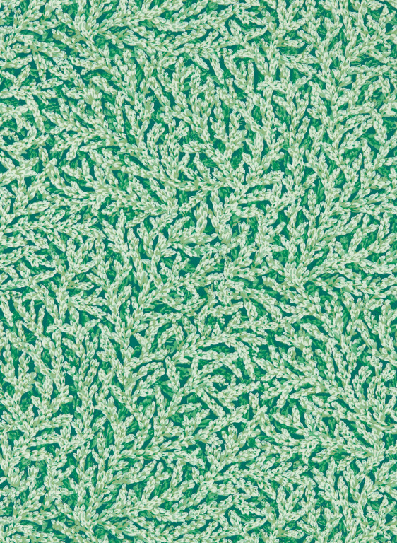 Zoffany Wallpaper Nootka-6982 Zoffany Wallpaper Nootka-6982